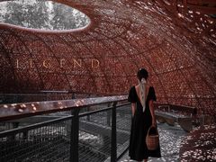 -东寨港红树林旅游区