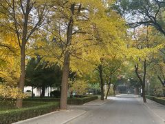 -北京理工大学(中关村校区)