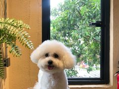 -邊渡咖啡