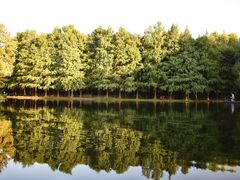 -上海共青森林公园