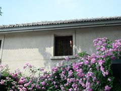 -老门东历史文化街区