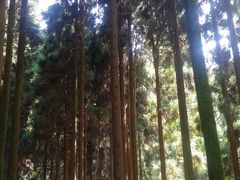 -娄山关景区