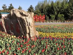 -长春公园(普阳街道)