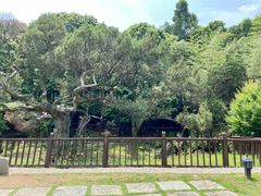 -草庵摩尼教遗址公园