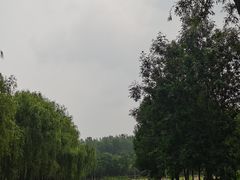 -东郊湿地公园