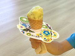 -野人先生现做冰淇淋(北京悠唐购物中心店)