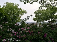 -小龙坎火锅(湖滨银泰in77店)