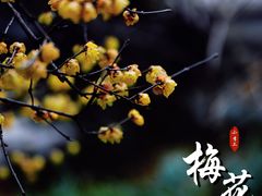-太平天国历史博物馆(瞻园)