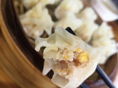 -黎里古镇