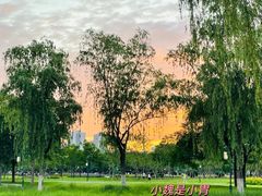 -咸阳湖景区