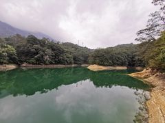 -广州市流溪河国家森林公园