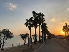 -黄金海岸环岛路