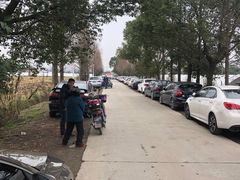 -小鱼草莓采摘园农家乐·小鱼餐厅