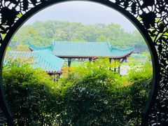 -桂湖森林公园