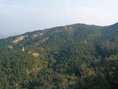 -龙口南山旅游景区