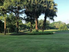 -平安（深圳）金融教育培训中心