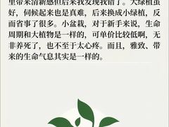 -大班家政月嫂育儿嫂(总部店)