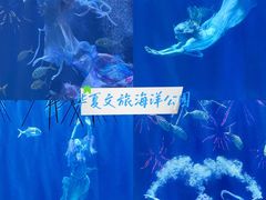 -华夏文旅西安度假区