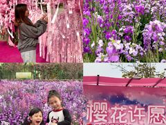 -盈香心动乐园