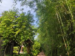 -长鹿旅游休博园