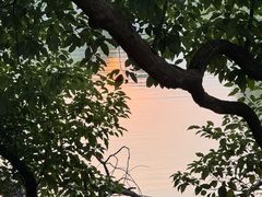 -东湖落雁景区