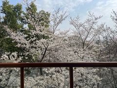 -天目湖御水温泉·度假酒店