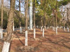 -上海海湾国家森林公园