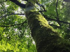 -神农架香溪源景区