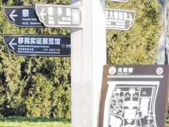 -大槐树寻根祭祖园