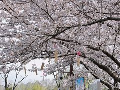 -堤角公园