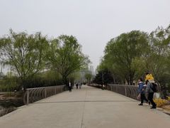 -郑州植物园