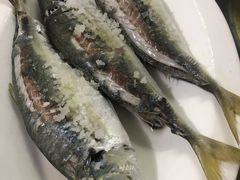 -陈岱后山窑鸡店