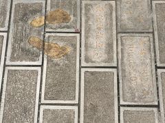 -三塔倒影公园