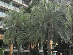 -三亚湾海居铂尔曼度假酒店