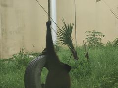 -合肥野生动物园