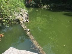 -杭州西湖风景名胜区-三生石