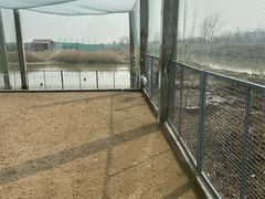 -盐城丹顶鹤湿地生态旅游区