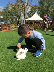 -萌宠亲子动物乐园(槐房万达店)