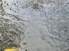 -西安市长乐公园