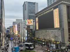 -蜀大侠火锅(寰球文化地标·总府店)