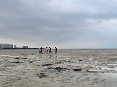 -北海金海湾红树林生态旅游区