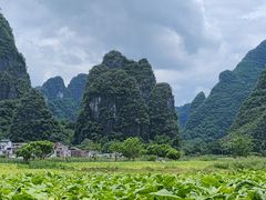 -钟山水墨田园