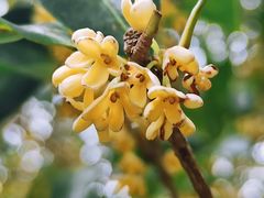 -共青国家森林公园-售票处