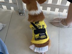 -怪兽屋·羊驼·猫咖·狗咖(俊华广场店)