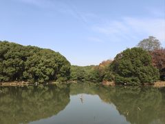 -鲜得来排骨年糕(即墨路店)