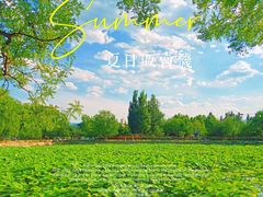 -稻香湖景欢乐岛温泉城堡