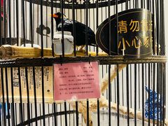 -清真京华源·涮肉烧烤(丰庆店)