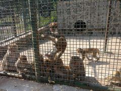 -南京金牛湖风景区