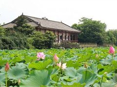 -三圣花乡旅游区