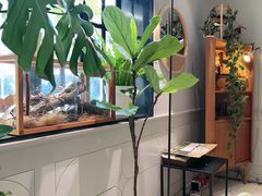 -一尺花园(安和花园店)